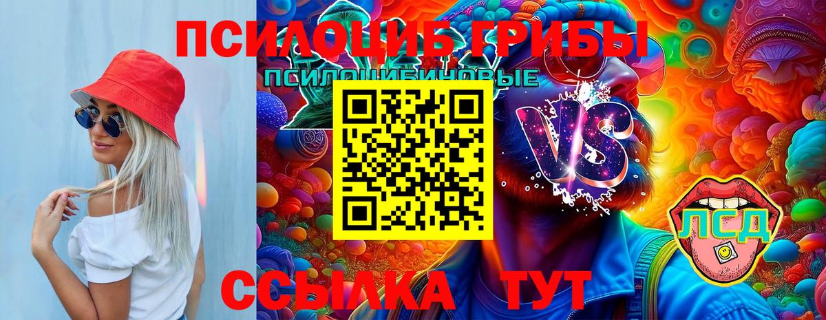 Псилоцибиновые грибы ЛСД Сальск