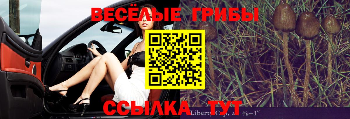 Галлюциногенные грибы GOLDEN TEACHER  где купить   Вход с VPN  Сальск  Псилоцибиновые грибы MAGIC MUSHROOMS 